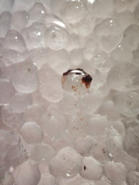 Silica Sand Sample 1